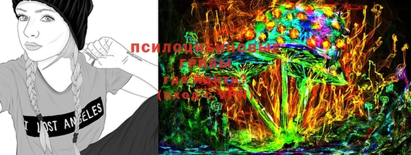 спиды Алексин