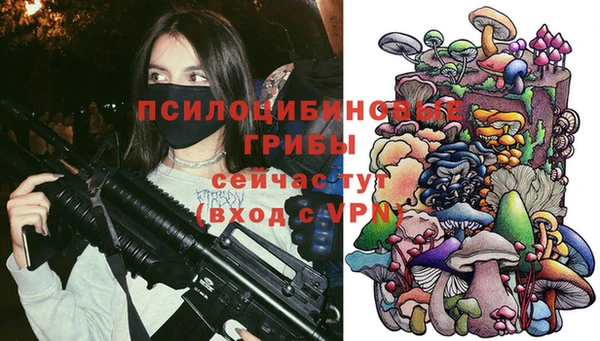 спиды Алексин