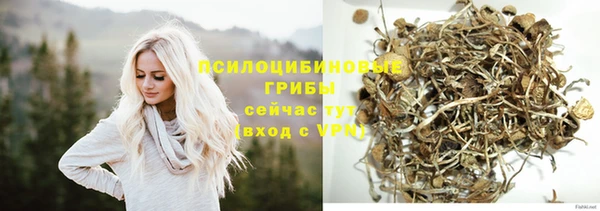 спиды Алексин