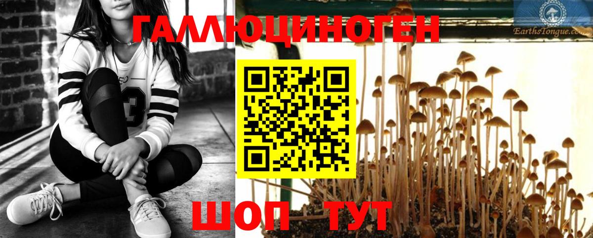 Псилоцибиновые грибы ЛСД  Вход с VPN  Гурьевск 